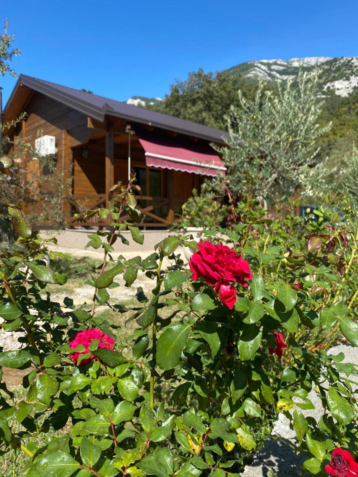 Guest House Mare Bar Exterior foto